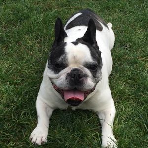 Meet your Posher, Patricia